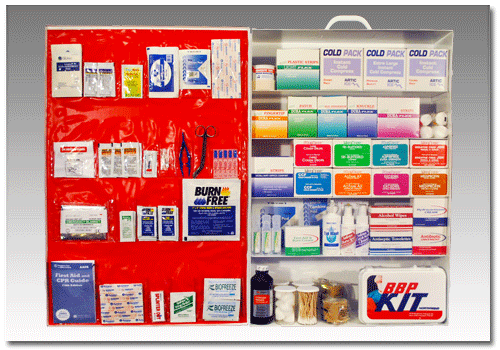 First Aid Kit 460