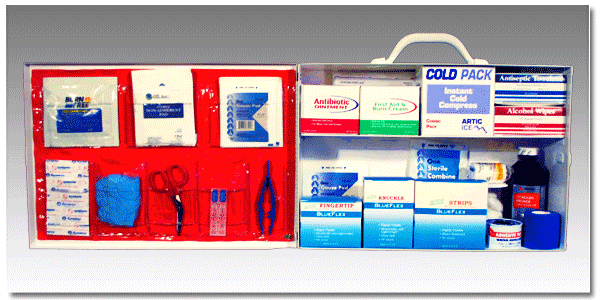 FoodSafe™ First Aid Cabinet 200